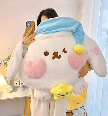 Soft Cartoon Hold Pillow PN6022