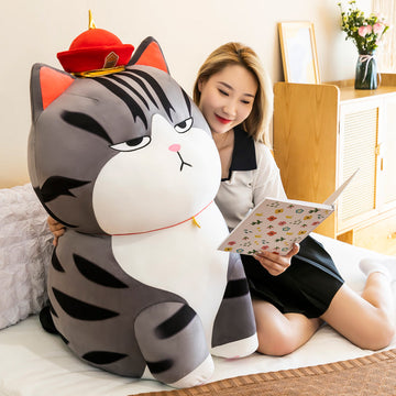 Lovely Cat Hold Pillow PN6029