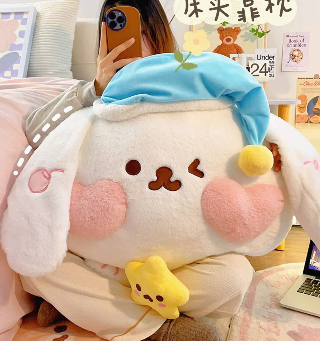 Soft Cartoon Hold Pillow PN6022