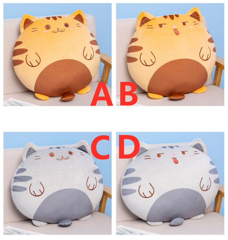 Lovely Cat Hold Pillow PN5374